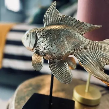 ホームステイ Pool House 85 スパ