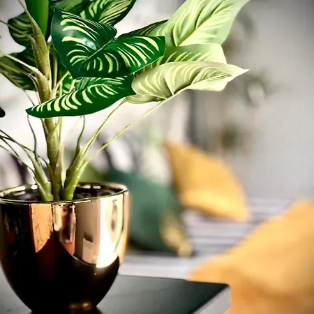 Pool House 85 Privat bolig Spa