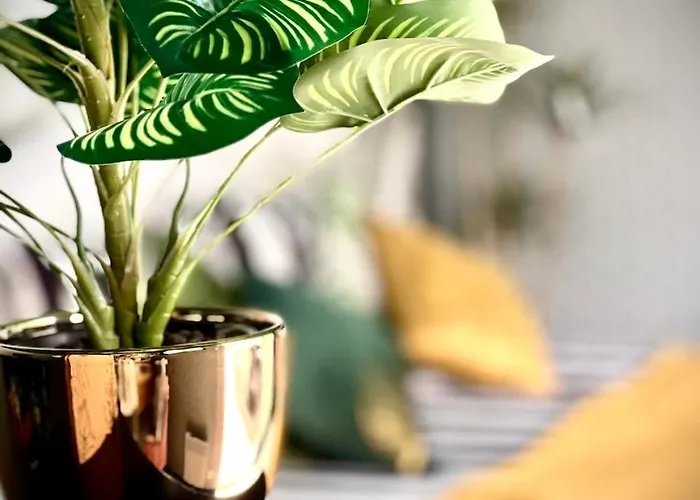 Pool House 85 ホームステイ スパ